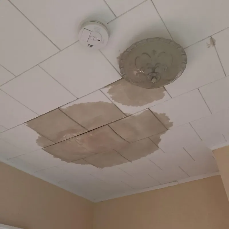 Ceiling Water Damage Repair in Middletown, DE