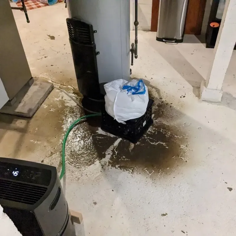Sewage Backup Cleanup Service in Middletown, DE